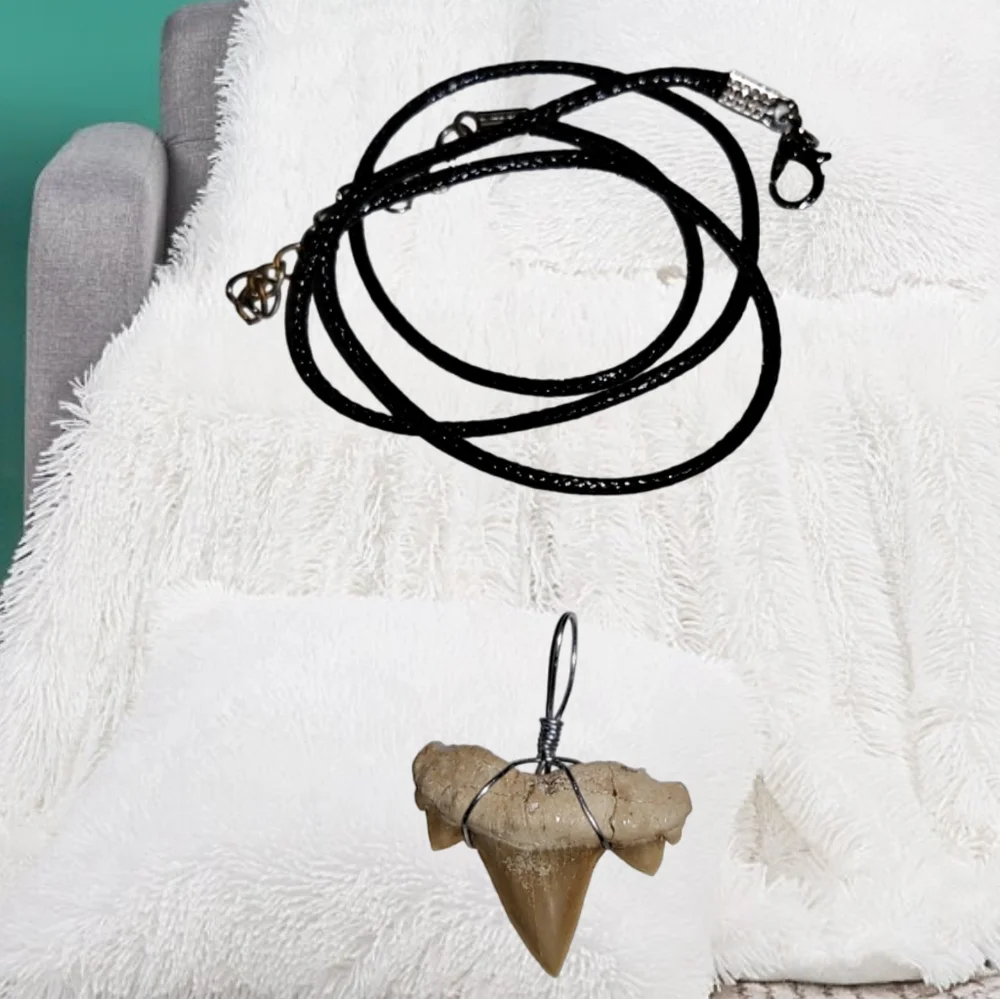 Shark Tooth Pendant & Cord Necklace